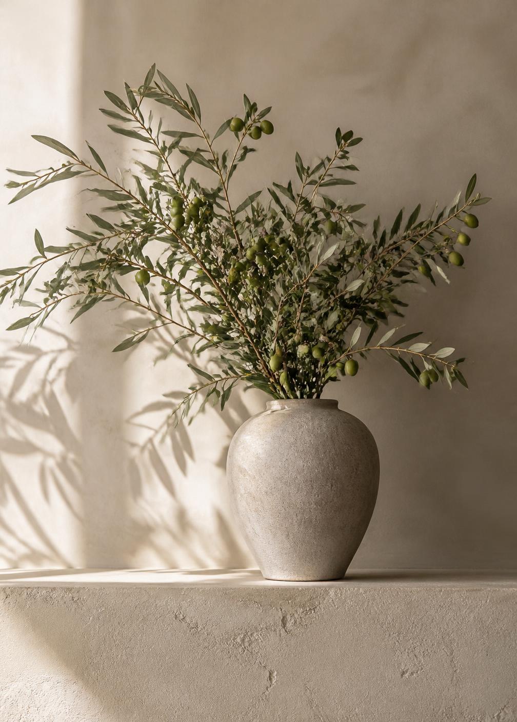 Olive branches in a stone vase casting soft leaf shadows on a plaster wall